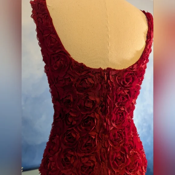 Elegant Red Rose Textured Women's Dress - Picture 3 of 6